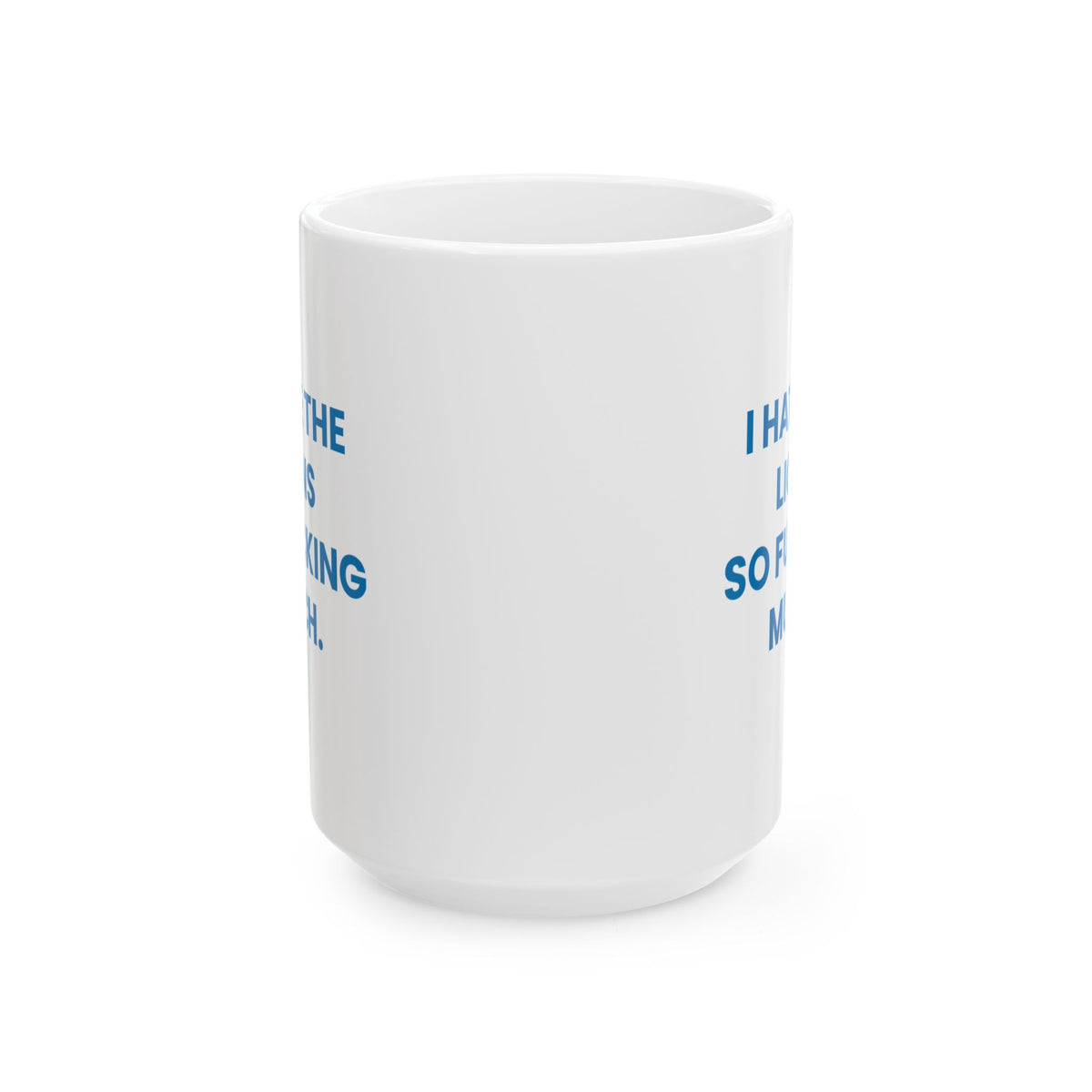 I Hate the Lions So Fucking Much Mug
