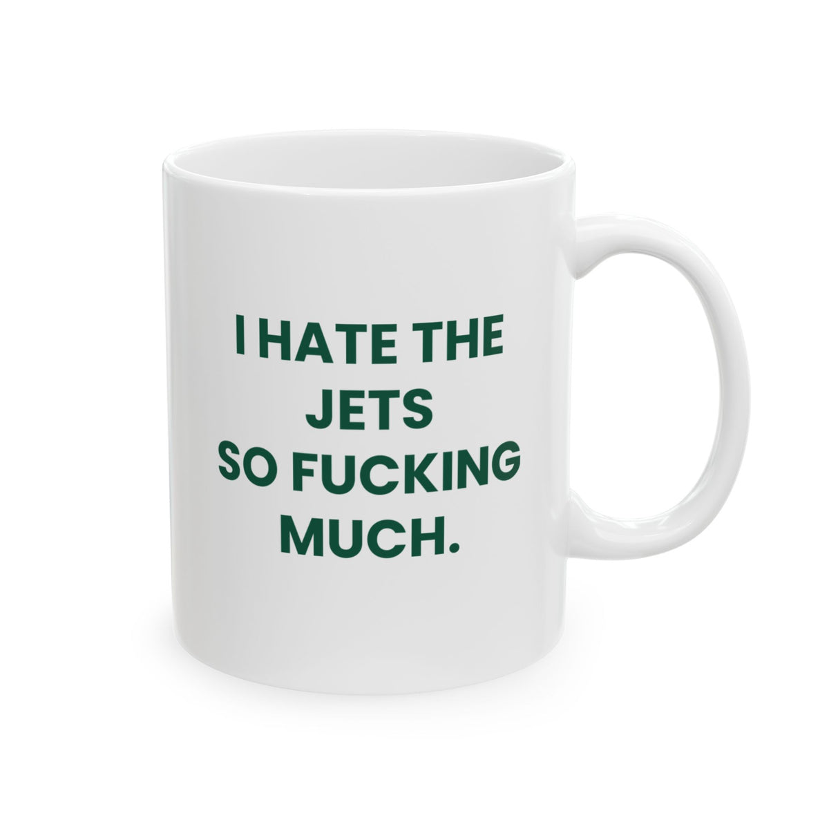 I Hate the Jets So Fucking Much Mug