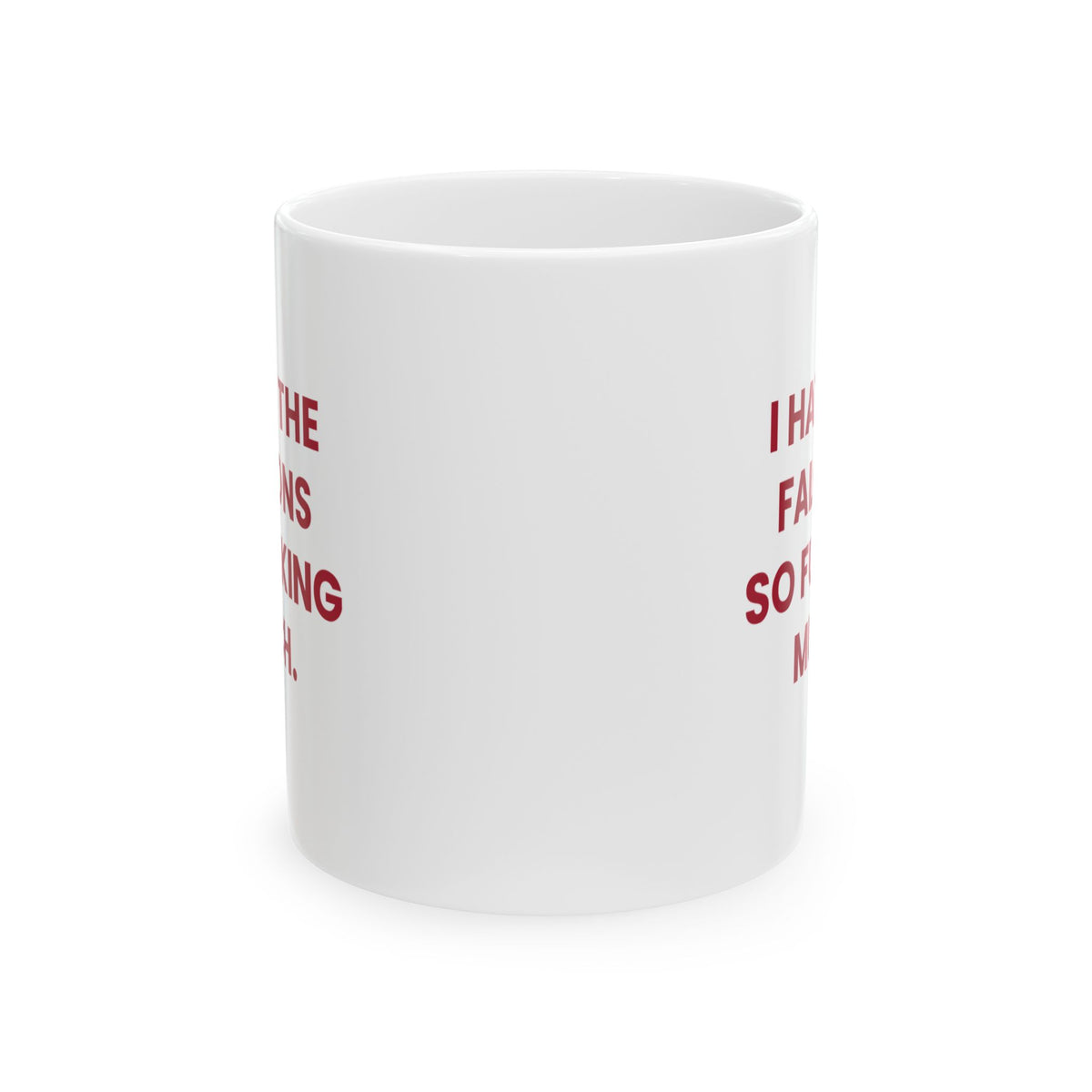 I Hate the Falcons So Fucking Much Mug