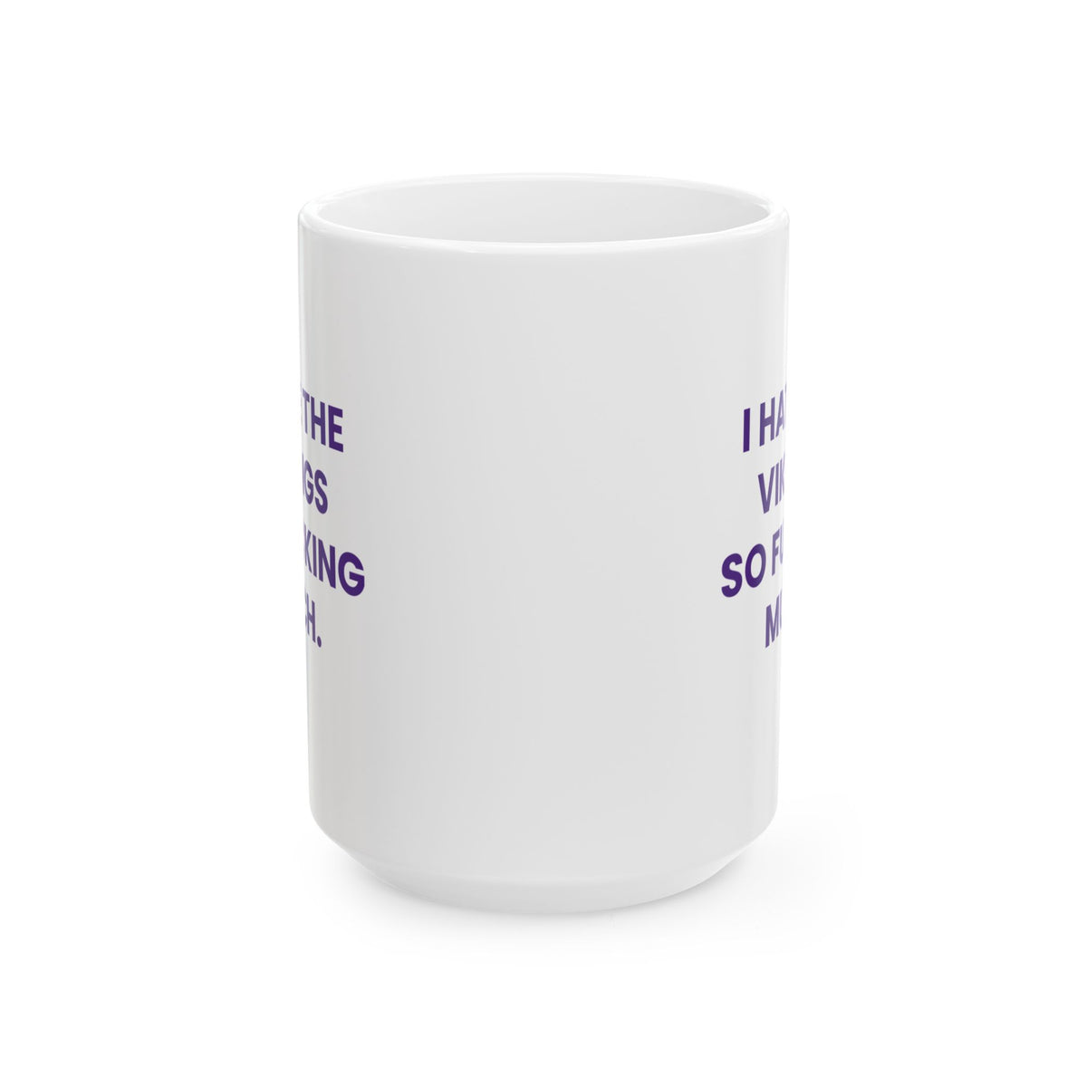 I Hate the Vikings So Fucking Much Mug