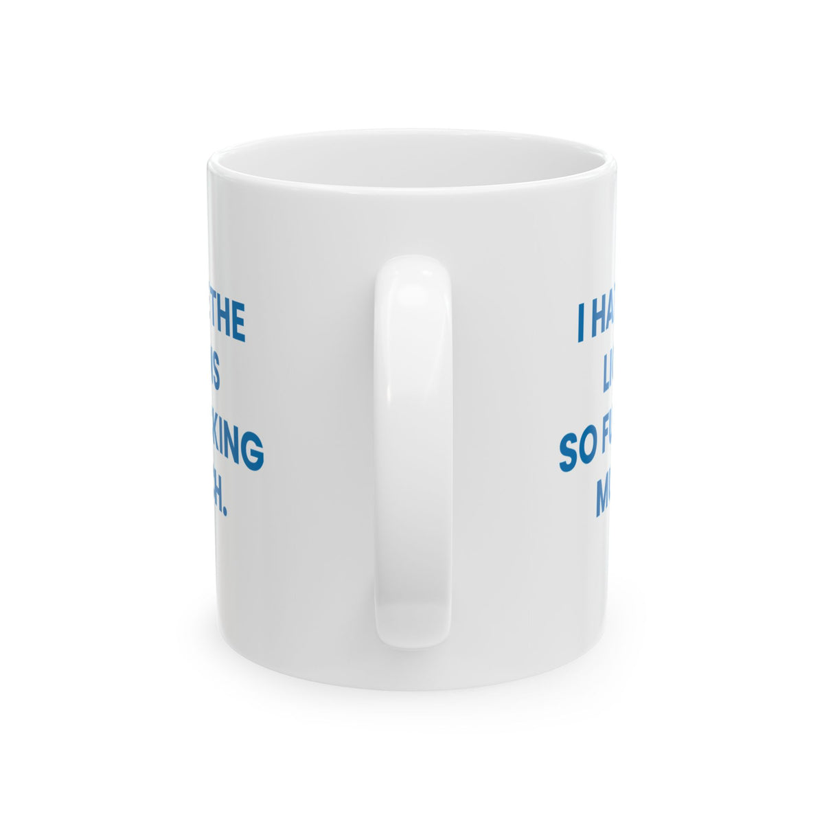 I Hate the Lions So Fucking Much Mug