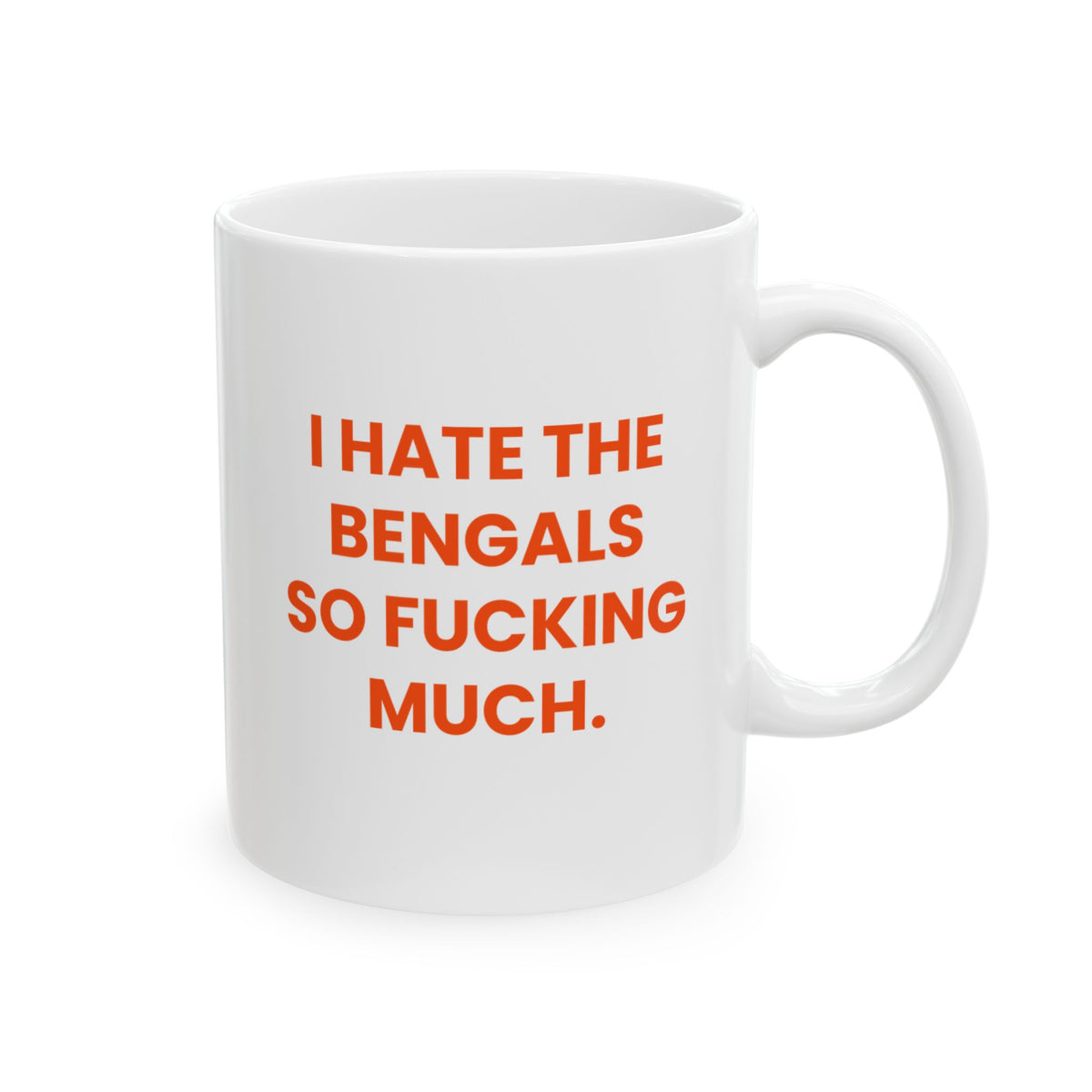 I Hate the Bengals So Fucking Much Mug