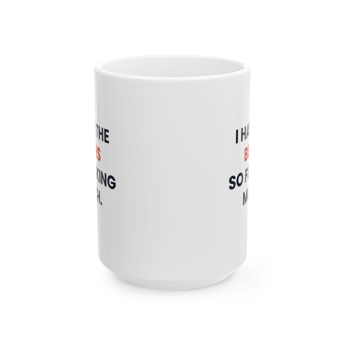 I Hate the Bears So Fucking Much Mug