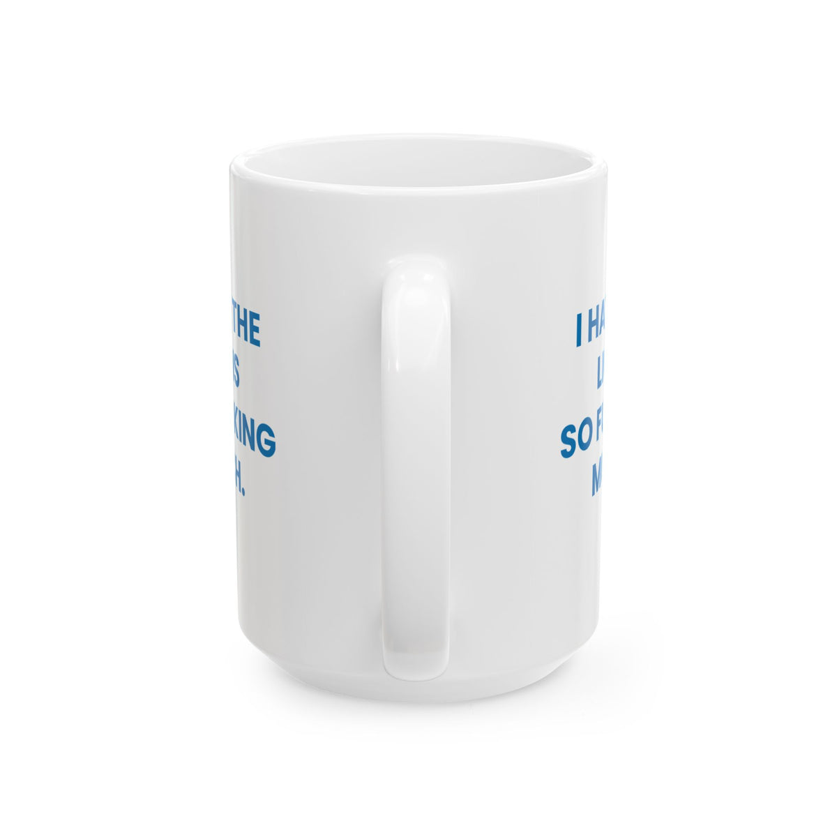 I Hate the Lions So Fucking Much Mug
