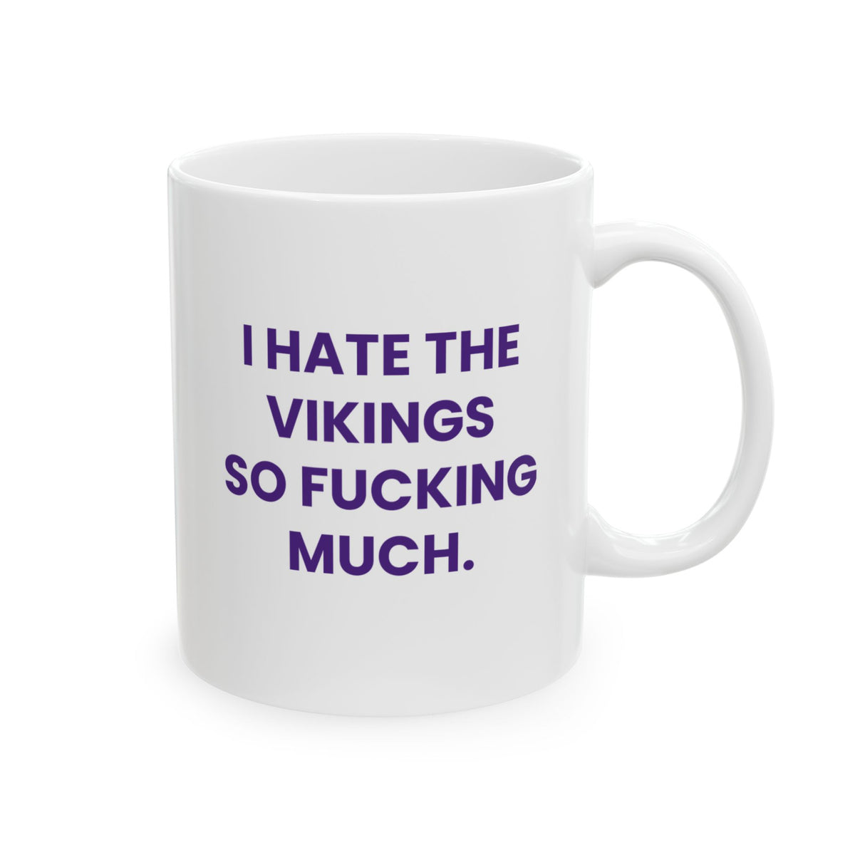 I Hate the Vikings So Fucking Much Mug