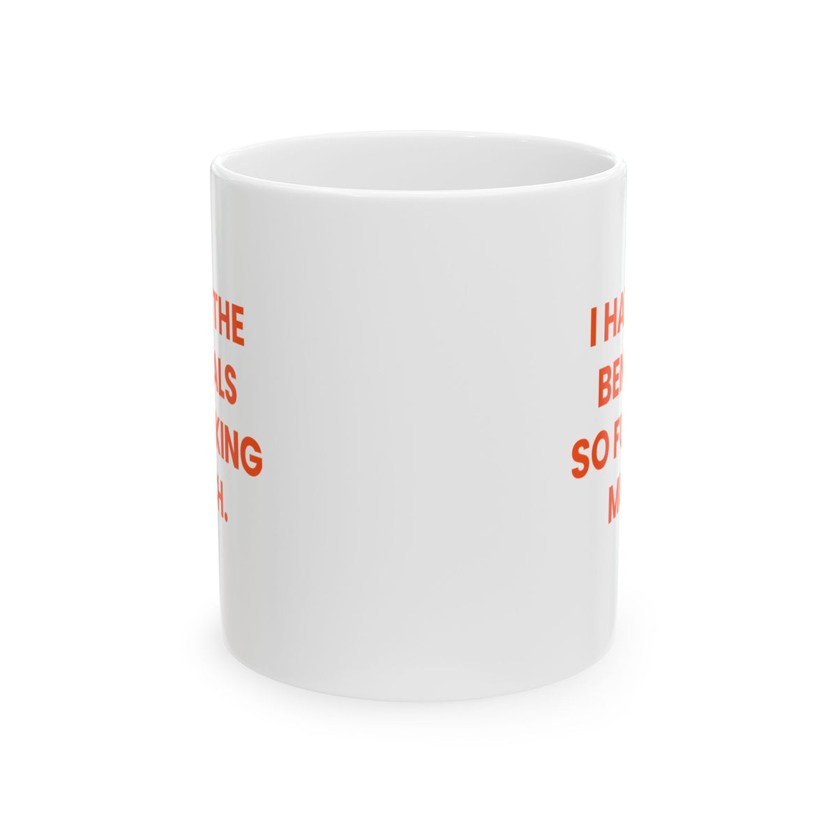 I Hate the Bengals So Fucking Much Mug