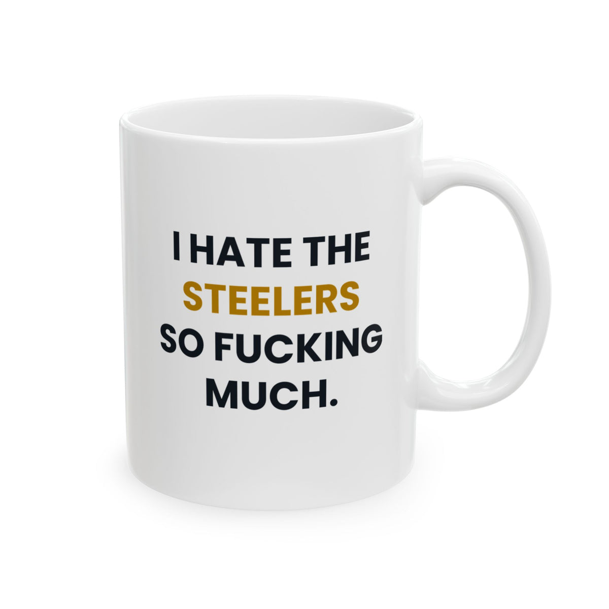 I Hate the Steelers So Fucking Much Mug