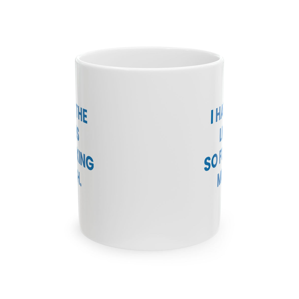 I Hate the Lions So Fucking Much Mug