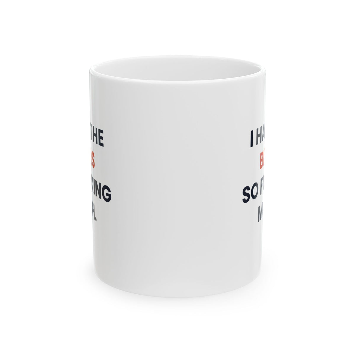 I Hate the Bears So Fucking Much Mug