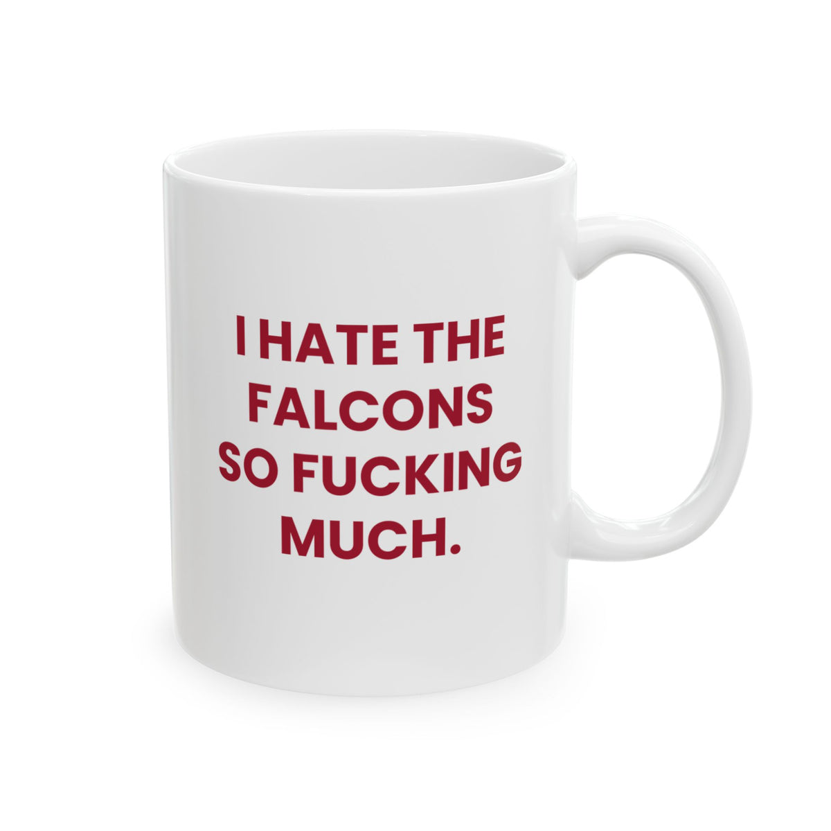 I Hate the Falcons So Fucking Much Mug